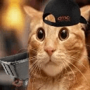 a close up of a cat wearing a hat and looking at the camera .
