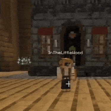 a person in a minecraft video game standing in front of a building with the name in thelittlewood written on the screen