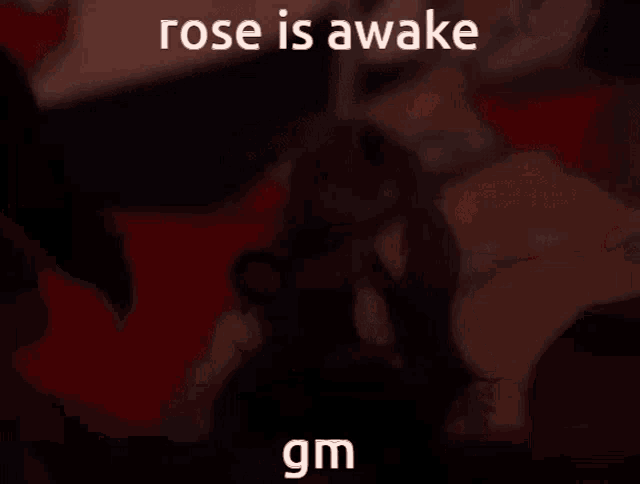 a picture of a girl with a caption that says rose is awake