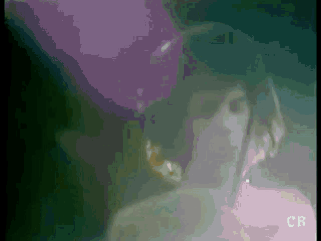 a close up of a woman 's face with the letters cb above her