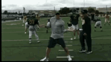 a football player with the number 20 on his jersey stands on the field