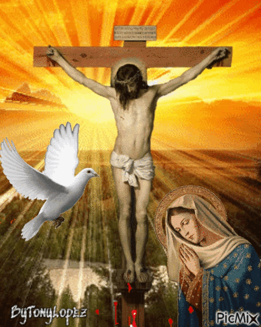 a picture of jesus on the cross with a white dove
