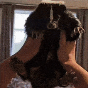 a person is holding a small black and white animal in their hands