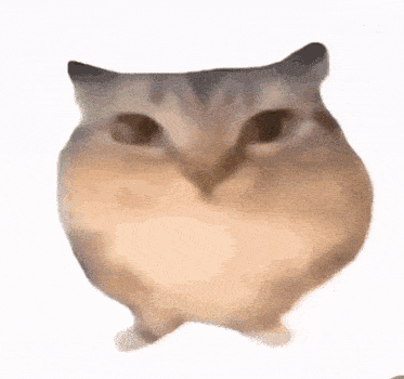 a close up of a hamster standing on its hind legs .
