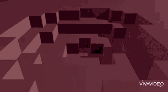 a video that says vivavideo on the bottom