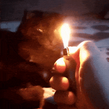 a person is holding a lighter with a bic logo on it