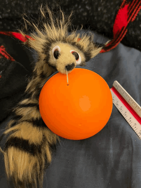 a stuffed animal is holding an orange ball next to a ruler that says inches