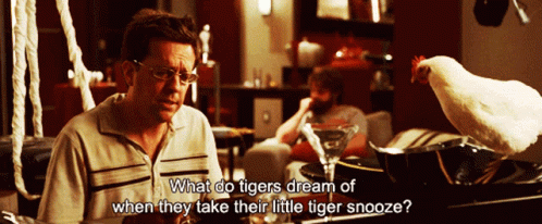 The Hangover What Do Tigers Dream Of GIF - The Hangover What Do Tigers Dream Of GIFs