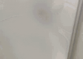 a black dog is standing in a bathtub looking at the camera .