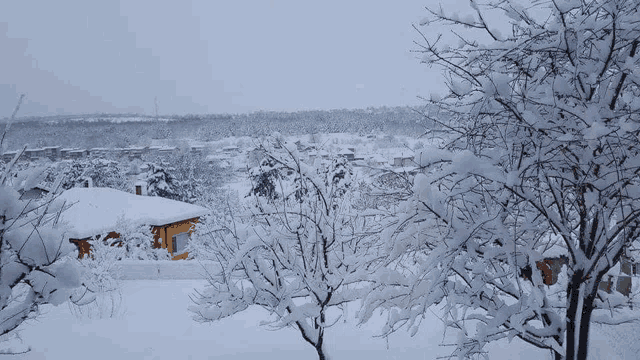 a snowy landscape with houses and trees in the background