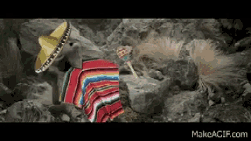 a donkey wearing a sombrero and a colorful blanket is standing on rocks .