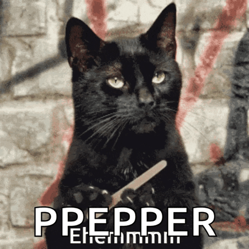 a black cat is holding a nail file in its paws with the word pepper written below it