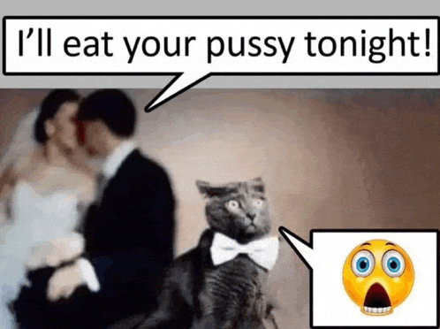 a cat wearing a bow tie is talking to a bride and groom
