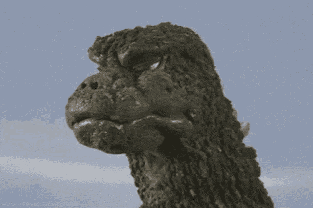 What The Confused GIF - What The Confused Dinosaur GIFs