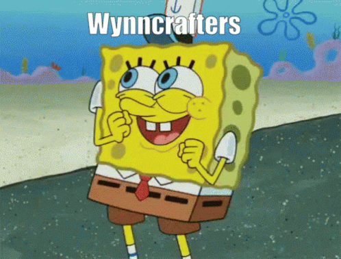 Wynncraft Wynncrafters GIF - Wynncraft Wynncrafters Minecraft GIFs