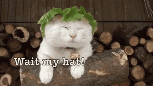 a white cat wearing a lettuce hat sitting on a log