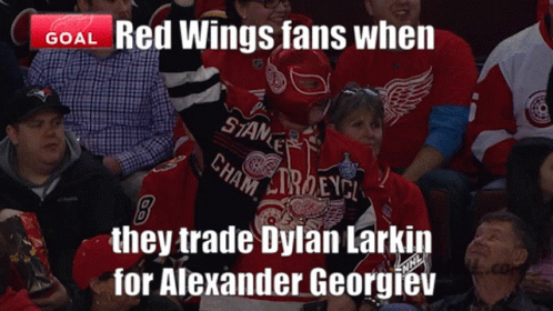 Red Wings Fans Shayne Ny_ GIF - Red Wings Fans Shayne Ny_ Georgiev Larkin GIFs