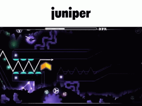 Gd Juniper GIF - Gd Juniper Gdjuniper GIFs