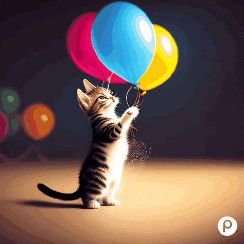 a kitten is holding a bunch of balloons with the letter p on the bottom
