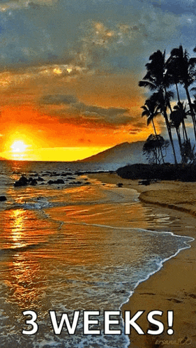 a picture of a beach at sunset with the words 3 weeks below it