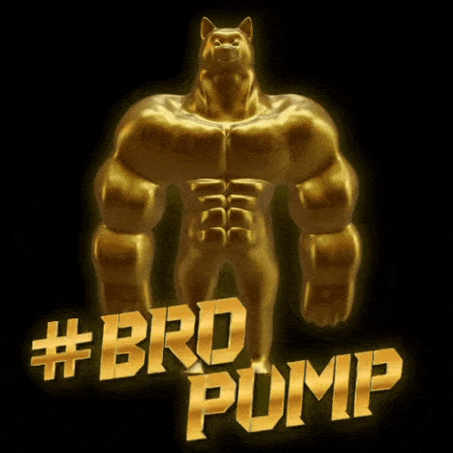 a golden statue of a dog with the words #brd pump behind it