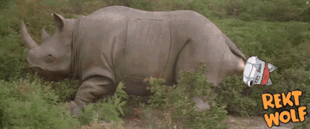 a rhino with a picture of a wolf on it 's butt and the words rekt wolf below it