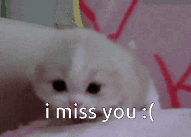 a small kitten with the words i miss you on it