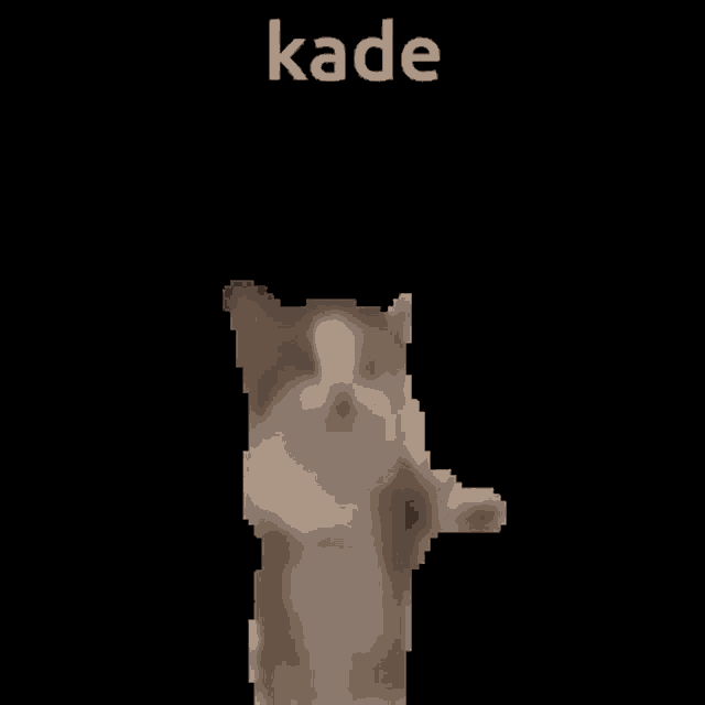 a pixelated image of a cat with the word kade on it