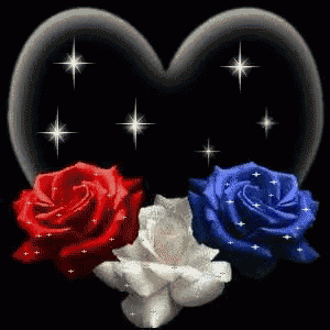 red white and blue roses in front of a heart