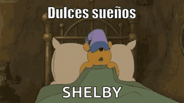 winnie the pooh is sleeping in a bed with a blanket and a hat .
