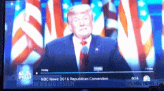 Trump Donald GIF - Trump Donald Shrug GIFs