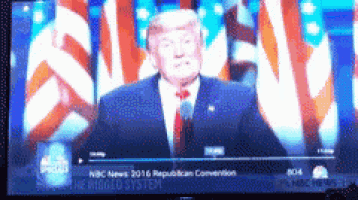 donald trump is giving a speech in front of a flag