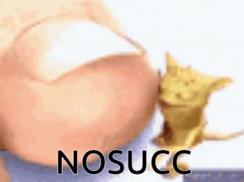 Nosucc Feet GIF - Nosucc Feet Toes GIFs