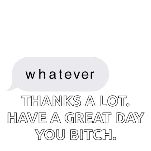 a text message says `` whatever thanks a lot have a great day you bitch '' .