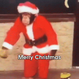 Merry Christmas  GIF - Monkey Merry Christmas Santa Claus GIFs