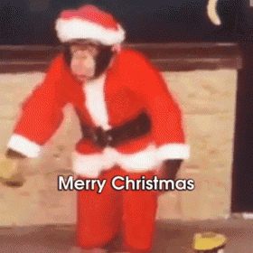 a monkey dressed in a santa suit is kneeling down and says merry christmas