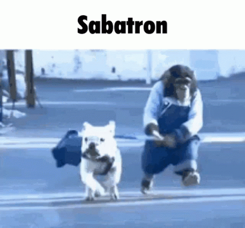 Sabatron Monkey GIF - Sabatron Monkey Dog Walking GIFs