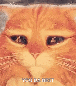 a close up of a cat 's face with a sad look on its face and the words `` you da best '' .