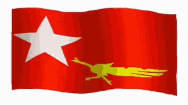 a red flag with a yellow bird and a white star on it