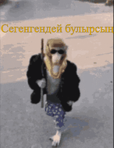 a monkey wearing sunglasses and a scarf is walking down a street with a foreign language caption