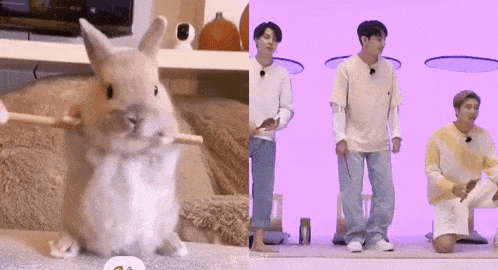 a rabbit is holding a stick in its mouth while two men are standing behind it .