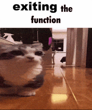 Exiting Function GIF - Exiting Function The Function GIFs