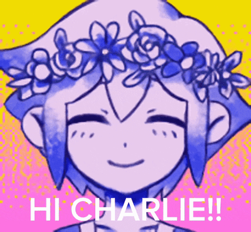 a drawing of a girl with a flower crown on her head and the words hi charlie