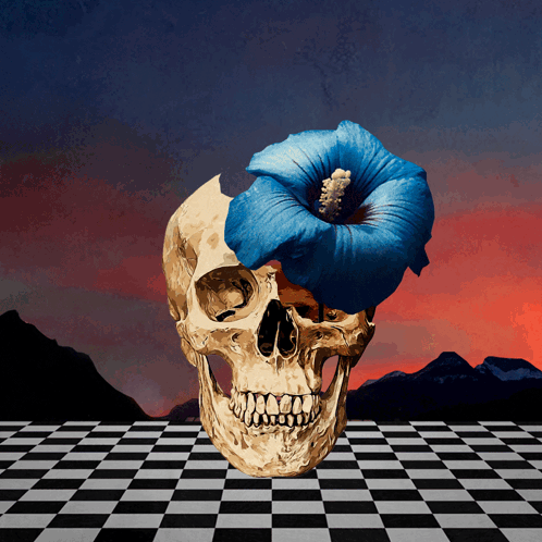 Zappagazapata Skull GIF - Zappagazapata Skull Flower GIFs