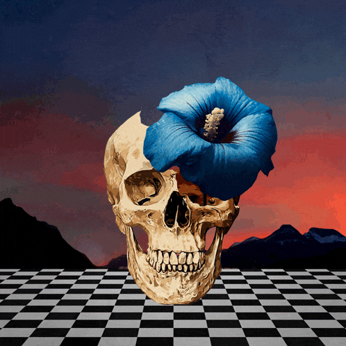a skull with a blue flower in the middle of it