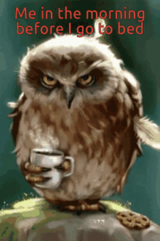 Nocturnal Coffee Coffee Is Life GIF - Nocturnal Coffee Coffee Is Life Owl Coffee GIFs