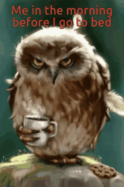 an owl sitting on a rock holding a cup of coffee with a caption that says me in the morning before i go to bed