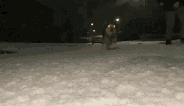 a person is walking a dog in the snow .