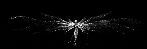 a black and white drawing of a dragonfly with wings made of dots .