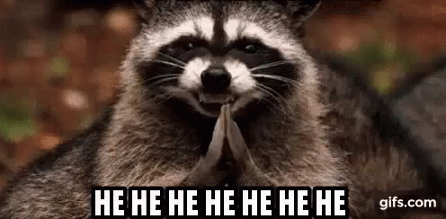 Raccoon Smirk GIF - Raccoon Smirk Hehe GIFs